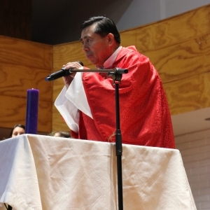 Celebración de Ramos